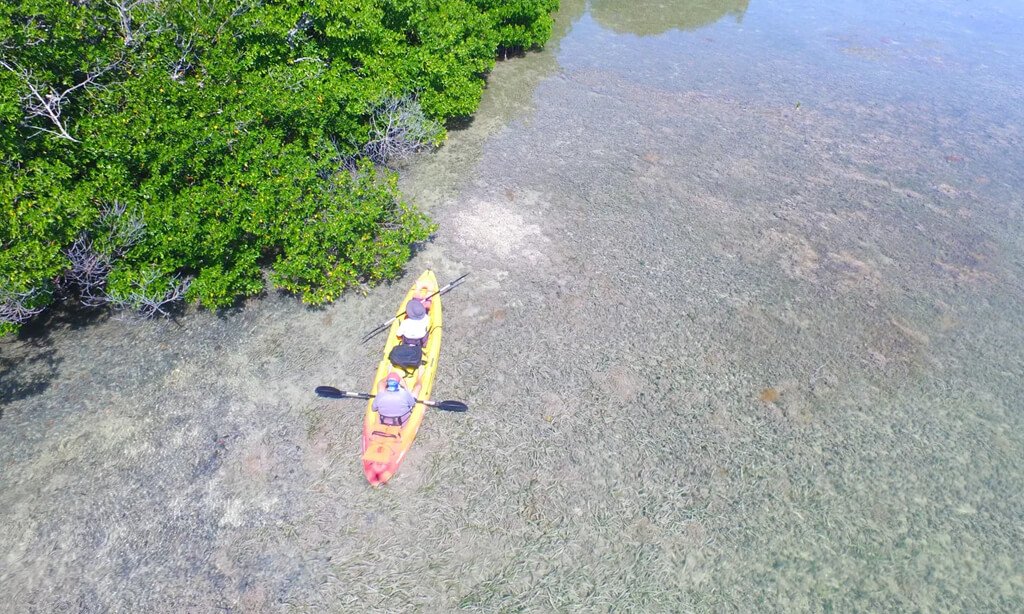 Florida’s Bird Key Island Listed for Sale at $31.5M, Causing ‘Alarm’