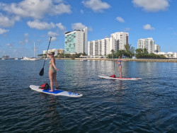 Group Paddleboard Lessons to learn and have fun with friends