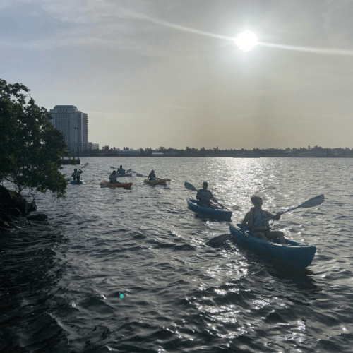 Kayak Lessons Miami Beach Kayak Lessons Miami Beach