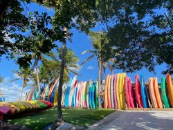 Miami Paddleboard and Kayak experiences