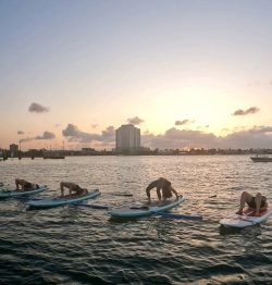 Sunset SUP Yoga Miami